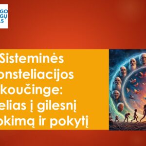 ID-1 Sisteminės konsteliacijos ir koučingas