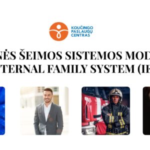 VH-3 Vidinis šeimos sistemos modelis (IFS)