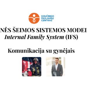 VH-3.1 Vidinis šeimos sistemos modelis. Komunikacija su gynėjais.